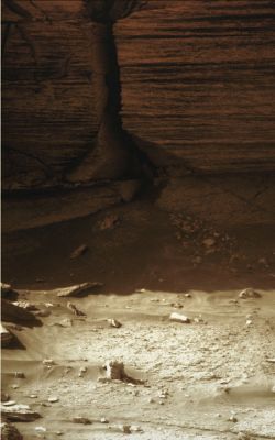 Looking for "Something"?!? - Sol 1571 (MULTISPECTRUM; credits: Lunexit)
nessun commento
Parole chiave: Victoria Crater - The Inner Rim