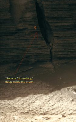 There is "SOMETHING" in there... - Sol 1571 (MULTISPECTRUM; credits: Lunexit)
Cari Amici, Voi sapete bene quanto la Prudenza ed il Pragmatismo costituiscano elementi essenziali (a volte - forse - anche in misura eccessiva...) del nostro "Abito Mentale". 
Questo vuol dire che Voi sapete bene che qui, su Lunexit, prima di "sbilanciarci" (su qualsiasi tema e su qualsiasi immagine), restiamo fermi ad osservare e riflettere.

Ok: in questo caso specifico abbiamo riflettuto abbastanza e quindi Vi diciamo che, dopo aver applicato il solito trattamento MULTISPECTRUM al frame NASA-RAW e dopo aver leggermente aumentato la saturazione (prima) ed il contrasto (poi), è emerso un particolare QUANTO MENO "Curioso". 
Nella crepa che caratterizza la porzione di Inner Rim ripresa da Opportunity, all'altezza del punto interrogativo che abbiamo inserito, si può notare un NETTO cambio di colore e di intensità del "buio". 
In altre parole: l'oscurità del "paesaggio" interno alla crepa - la quale oscurità, almeno in teoria, doveva essere profonda ed UNIFORME - presenta un NETTO STACCO. 

E non solo! 

Se portate il frame a piena magnificazione, noterete che la parete costituente l'Inner Rim di Victoria Crater appare come "scollata" rispetto a quella che si intuisce (rectius: si suppone) essere la porzione interna del bordo del Cratere.

Insomma: dietro l'Inner Rim di Victoria (ed almeno in questo punto), SEMBRA esserci una intercapedine naturale, la quale si apre su uno spazio interno NON COMPLETAMENTE VUOTO! Un "qualcosa" di indefinibile - e di forma regolarissima (tipo una "lastra") - giace nel buio. 
Una "lastra" che taglia l'oscurità all'altezza del "?" e che costituisce - a nostro parere - una NOTEVOLE Anomalìa di Superficie.

Abbiamo effettuato una serie di prove di over-saturazione ed aumento del contrasto anche sul frame NASA-RAW (e cioè NON processato via MULTISPECTRUM) ed i due particolari anomali (esistenza di una intercapedine e presenza di un "qualcosa" di forma regolare e di albedo elevata - riteniamo infatti che la "lastra" sia visibile poichè riesce a riflettere quel poco di luce solare che giunge dall'esterno e che filtra attraverso la crepa nella roccia), sebbene in forma meno evidente, appaiono comunque (e quindi non si tratta di image artifacts derivanti dal nostro additional processing).

Che altro dire? 

Un'ipotesi: la parete interna VISIBILE di Victoria (l'Inner Rim, appunto) è (almeno parzialmente) "scollata" da una ulteriore (e NON VISIBILE) parete (ancora più interna) del Cratere. 

Domande: vista così, la parete interna VISIBILE di Victoria potrebbe essere una sorta di "guscio (protettivo)" che si sta sfaldando?
Cosa c'è "DIETRO" la parte visibile dell'Inner Rim di Victoria?
Che cos'è la "lastra" che brilla debolmente (e, riteniamo, di luce riflessa - ma non ne siamo sicuri) nell'oscurità?

Una sola cosa è certa: Opportunity potrebbe/dovrebbe avvicinarsi ulteriormente e fotografare ancora. 
E dovrebbe fotografare la "crepa" in questione anche nella "notte", così da chiarire se il "qualcosa" che si vede in questo incredibile frame brilla "di suo" o si limita a riflettere i raggi del Sole...

Domande, domande, domande...
Parole chiave: Victoria Crater - The Inner Rim - Controversial