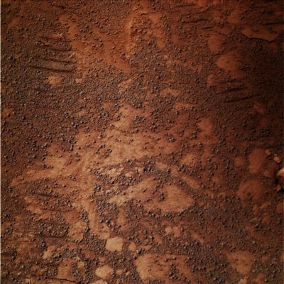 Paving and Berries - Sol 1633 (RAW Natural Colors; credits for the additional process. and color.: Elisabetta Bonora - Lunexit Team)
nessun commento
Parole chiave: Martian Surface - Martian Paving with Berries