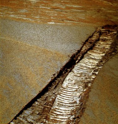 Rover Tracks and Berries - Sol 1636 (True - but enhanced - Colors; credits: Dr M. Faccin)
nessun commento
Parole chiave: Martian Surface - Rover Tracks and Berries