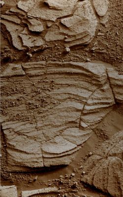 Signs of an ancient Tide? (4) - Sol 1715 (possible True Colors; credits: Dr G. Barca & Lunexit)
nessun commento
Parole chiave: Martian Surface - Martian Paving and Berries