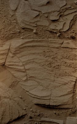 Signs of an ancient Tide? (5) - Sol 1715 (natural colors; credits: Lunexit)
nessun commento
Parole chiave: Martian Surface - Martian Paving and Berries