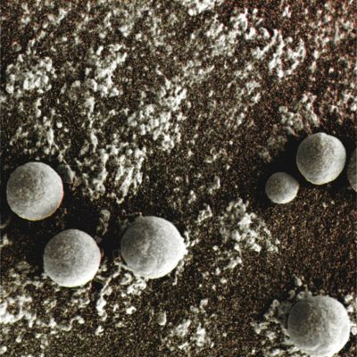 Spherules, Spherules and more Spherules! - Sol 177 (Superdefinition + MULTISPECTRUM; credits: Dr G. Barca & Lunexit)
nessun commento
Parole chiave: Microscopic Imager - Berries