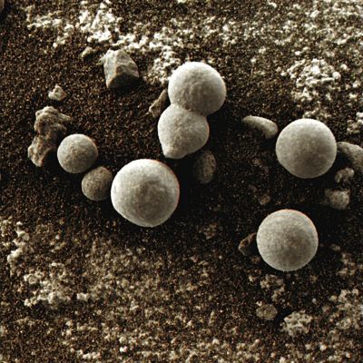 Just like "Cells"... - Sol 182 (Superdefinition; credits: Dr G. Barca)
...Difficile, guardando frames come questo (osservate bene la sferula doppia - o in fase di "duplicazione", se volete... - posta a centro immagine, in alto), non pensare ad una Matrice Organica per i nostri (ormai famosissimi) "Martian Berries"...

Difficile pensare a semplici "minerali"...
Parole chiave: Microscopic Imager - Berries - Very Controversial Frame