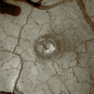 Effects of Color-Filter Change (2) - Sol 1843 (Natural Colors; credits: Lunar Explorer Italia)
nessun commento
Parole chiave: Martian Surface - Martian Paving, Dust and Berries
