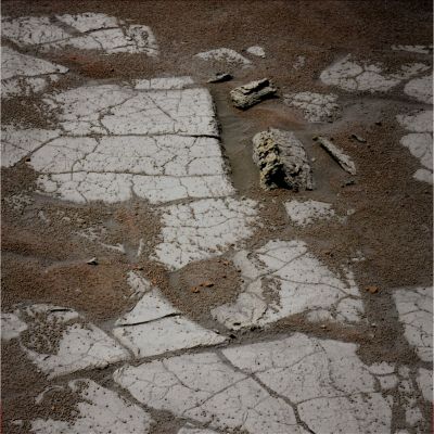 The Beautiful Martian Paving - Sol 1929 (Natural Colors; credits: Dr G. Barca)
nessun commento
Parole chiave: Martian Surface - Martian Paving, Pebbles and Berries