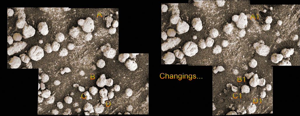 Changings... - Sol 199 (True Colors and Superdefinition; credits: Dr M. Faccin)
I "mirtilli" che vedete in questa coppia di frames hanno dimensioni non eccedenti i 4 mm; i due frames sono stati ottenuti ad una (relativamente) breve distanza di tempo l'uno dall'altro e, quasi per "magìa"...alcuni particolari - senza (ufficialmente!) l'intervento del Robotic Arm - sono cambiati. Alcuni ciottoli "spariscono", altri "appaiono" e la sensazione che una mano "gentile" sia intervenuta a cercare, spostare, selezionare e, forse, prelevare, diventa molto forte.

Comunque eccoVi i maggiori "Changings"...

A) un ciottolino la cui forma ricorda vagamente la Sardegna, nel frame di Dx (posizione A1) è sparito senza lasciar traccia;
B) accanto ad un ciottolo a forma di pera (forse che forma tutt'uno con un altro micro-rilievo), nel frame di Dx (posizione B1) "appare" - dove prima non c'era nulla - un'altra pietruzza;
C) il ciottolo C, nel frame di Dx (posizione C1) scompare;
D) idem come sopra per il ciottolo D (uno dei più grandi), che nel frame di Dx (posizione D1) non c'è più (ed il terreno NON APPARE essere stato disturbato...).

E allora, cari Amici di Pasadena...A che "gioco stiamo (anzi: state) giocando"?!?

NOTA: per completezza dell'informazione, diciamo che Il Robotic Arm di Opportunity ha svolto attività documentabili (si vedano i frames ottenuti durante il Sol 199 dalla Front Haz-Cam che testimoniano dei movimenti del RA), ma NON sappiamo di che natura fossero dette attività (fotografie con il MI a parte).

L'intervallo durante il quale il RA è stato CERTAMENTE OPERATIVO, come da immagini Front Haz-Cam, va dalle ore 13:16:19 alle ore 13:34:22 MLT. 
Le immagini ottenute con il Microscopic Imager (full sequence), vanno dalle ore 12:24:46 sino alle ore 13:30:43 MLT. 
Parole chiave: Martian Soil - Berries and Pebbles - Highly Controversial