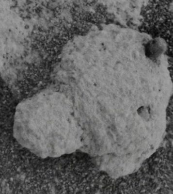 I'm going OUT! - Sol 199 (credits for the additional process.: Elisabetta Bonora - Lunexit Team)
...senza parole...
Parole chiave: Microscopic Imager - Meridiani Planum Surface - Controversial