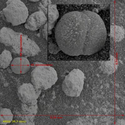 Mitosis? - Sol 199 (an Image-Mosaic by Elisabetta Bonora - Lunexit Team)
Divisione Cellulare (Mitosi) o semplice "Anomalìa Rocciosa" (un "berry" venuto fuori male, insomma...)? 

Si, lo sappiamo: molto spesso, non tutto ciò che sembra "qualcosa" poi, effettivamente, è "quel qualcosa". Verissimo.
Come è vero che, altrettanto spesso, quello che sembra "qualcosa" poi, effettivamente, è proprio "quel qualcosa"!

No, non è un gioco di parole nè un tentativo di confonderVi: è solo una riflessione, tanto banale, quanto vera. Ora giudicate Voi.

E GRANDISSIMI Complimenti alla nostra Amica e Senior Partner, Elisabetta Bonora!
Parole chiave: Microscopic Imager - Meridiani Planum Surface - Controversial
