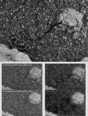 Martian "Microscopic Roots" - Sol 199 (an Image-Mosaic by Elisabetta Bonora - Lunexit Team)
Sempre più affascinante e - da un certo punto di vista - sempre più "sorprendente" e "sconcertante" quello che ci appare, osservando i frames MER Opportunity "datati" (i MIGLIORI in assoluto!).
Sono delle "microscopiche radici" quelle che si vedono - chiaramente - affiorare dalle sabbie di Meridiani?

Ai Posteri la Sentenza, a Voi i commenti (se ne avete). Ed un plauso allo straordinario occhio e alla enorme pazienza di Elisabetta Bonora (alias "2di7"!
Parole chiave: Microscopic Imager - Meridiani Planum Surface - Berries - Highly Controversial