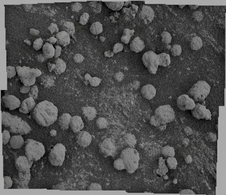 Martian "Community" - Sol 199 (credits for the additional process.: Elisabetta Bonora - Lunexit Team)
nessun commento
Parole chiave: Microscopic Imager - Meridiani Planum Surface - Berries