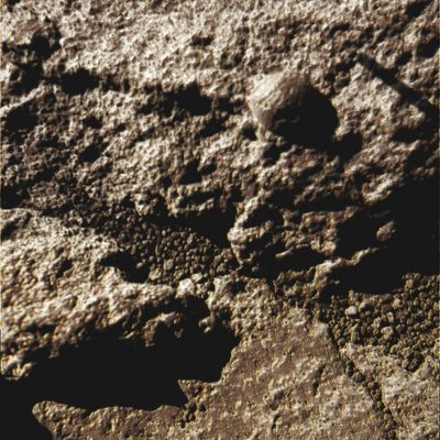 What a Vision!... - Sol 212 (Superdefinition + MULTISPECTRUM; credits: Dr G. Barca & Lunexit)
nessun commento
Parole chiave: Microscopic Imager - Greenish Soil and Berries