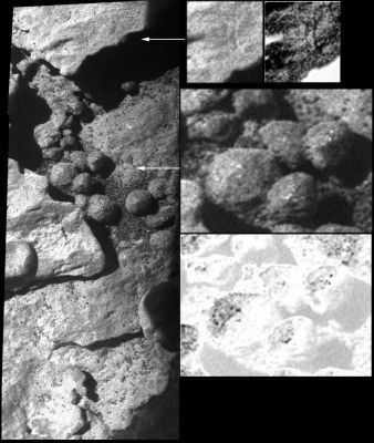 Just like "Rocky Eggs"... - Sol 2150 (EDM - Image Mosaic; credits: Dr M. Faccin - Lunexit Team)
nessun commento
Parole chiave: Martian Surface - Martian Berries