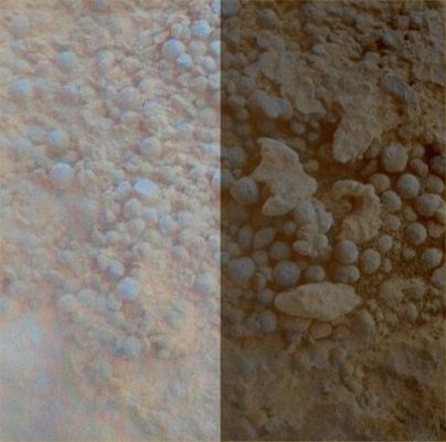 Coating on a Rock standing beside Concepci�n Crater  - Sol 2150 (Sx credits: NASA/JPL/Caltech-Cornell Univ. - Dx credits: Dr Paolo C. Fienga - Lunexit Team)
Caption NASA:"This image from the Microscopic Imager (MI) on NASA's Mars Exploration Rover Opportunity shows details of the coating on a rock called "Chocolate Hills", which the Rover found and examined at the edge of a young crater named Concepción.

The Rover took this image during the 2150th Martian Day, or Sol, of its Mission on Mars (Feb. 9. 2010). This target patch on Chocolate Hills is called "Aloya". The view covers an area about 3 cm (1,2") across. The color comes from imaging the same area with the PanCam and it is in false color, so to highlight differences in materials. 
The Coating includes a Layer in which peppercorn-size Spherules, nicknamed "blueberries", are packed densely". 
Parole chiave: Microscopic imager - Berries