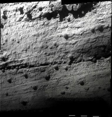 Fragments of the Martian Underworld - Sol 2154 (Image-Mosaic; credits: Dr M. Faccin)
nessun commento
Parole chiave: Microscopic Imager - Berries