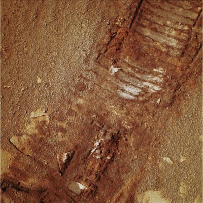 Rover Tracks - SOl 2173 (Absolute Natural Colors; credits for the additional process. and color.: Drr Gianluigi Barca & Paolo C. Fienga - Lunexit Team)
nessun commento
Parole chiave: Martian Surface - Rover Tracks and Berries