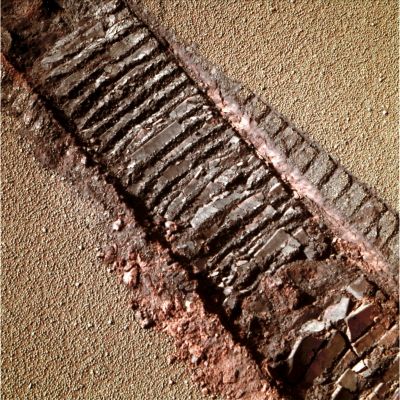 Deep Rover Tracks - Sol 2220 (Natural Colors; credits for the additional process. and color.: Dr Gianluigi Barca - Lunexit Team)
nessun commento
Parole chiave: Martian Surface - Rover Tracks