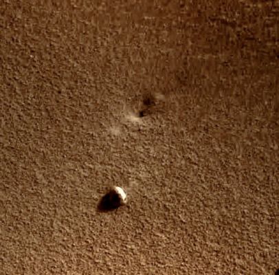 Possible Lifeform in motion? - Sol 2330 (EDM - Natural Colors; credits for the additional process. and color.: Dr Gianluigi Barca - Lunexit Team)
Osservate con estrema attenzione: il "forellino" (chissà - lasciateci usare la Fantasia, per qualche minuto -, forse una "bocca"...Oppure, magari, una sorta di "presa di CO2"?) che caratterizza l'estremità Sx (Dx dell'Osservatore) della "miniconchiglia" (la chiamiamo così perchè questo è quanto essa ci ricorda) appare davvero ben visibile in questo eccellente EDM del frame 1N335041572EFFAN9IP1991R0M1, così come - e sempre a nostro umile e prudente avviso - si evidenziano tracce di "scivolamento" del dettaglio controverso ("Disturbed Terrain", tecnicamente) sia alle sue "spalle" (supponendo che la porzione di dettaglio con il forellino corrisponda, in qualche modo, a quello che noi potremmo chiamare "volto"), sia nelle immediate vicinanze della mini-depressione dalla quale la nostra "conchiglietta" (o qualunque cosa essa sia) sembra essere emersa e/o pare provenire. 

Non serve poi un Esperto di Scienze Planetarie nè di Geologia per capire che lo sbiadimento del suolo ben visibile sia nei pressi della mini-depressione, sia nei pressi della conchiglietta è estremamente recente.

Che dire? Un altro "Mistero" (con la "M" rigorosamente Maiuscola) si va ad aggiungere ai tanti già visti e rivisti, nel "Deserto" (ma forse tale solo in apparenza e ad occhi distratti...) di Meridiani Planum. 
E poi, come ovvio, Grandissimi Complimenti al nostro eccezionale Amico e Partner (nonchè Vice-Presidente di Lunexit), il Dr Gianluigi Barca (alias Big-"G").
Parole chiave: Martian Surface - Extremely unusually-looking Surface Feature - possible "Shell"