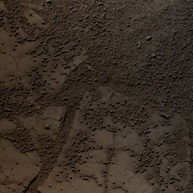 The always Beautiful "Martian Paving" - Sol 2359 (Absolute Natural Colors; credits for the additional process. and color: Dr Paolo C. Fienga - Lunexit Team)
nessun commento
Parole chiave: Martian Surface - Martian Paving with Berries