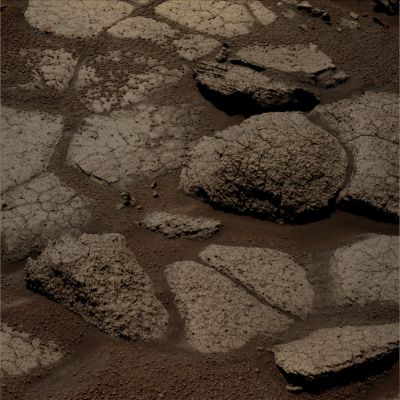 Rocky Outcrop with Berries and Fine Ash-like Dust (Absolute Natural Colors; credits for the additional process. and color.: Drr Gianluigi Barca and Paolo C. Fienga - Lunexit Team)
nessun commento
Parole chiave: Martian Surface - Rocky Outcrop with Berries and Dust