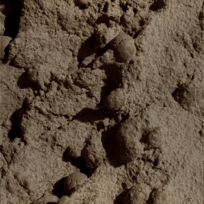 Old and "cracked" Martian Mushrooms - Sol 241 (Natural Colors; credits: Lunexit)
nessun commento
Parole chiave: Martian Surface - Martian Berries
