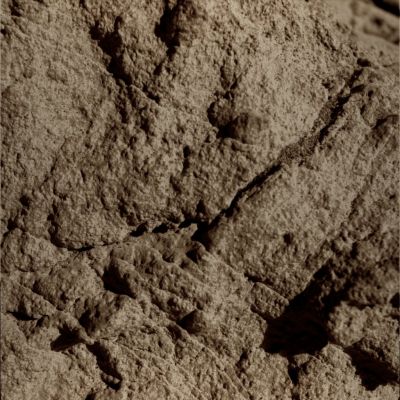 Just like Hadley... - Sol 241 (Natural Colors; credits: Lunexit)
Per gli Appassionati di Scienze Planetarie i quali cercano similitudini geomorfologiche tra Corpi celesti differenti, eccone una (notevole, a nostro parere, ancorchè su scala enormemente più piccola): osservate la tessitura - a "maglie incrociate" oppure, se Vi piace di più la terminologia usata dal Dr Feltri, a "formazioni tubolari oblique" - di questa roccia e poi andate a vedere le immagini dell'Hadley Mountain (Apollo 15) o del North Massif (Apollo 17).

Mondi diversi e scale diverse, certo; ma la Matrice, almeno a nostro parere, è la stessa. E su questo dato bisognerebbe riflettere un pò...
Parole chiave: Martian Surface - Boulder