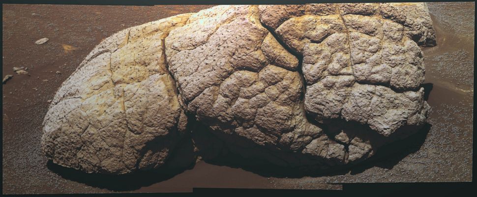 Wopmay - Sol 251 (MULTISPECTRUM; elab. Lunexit)
Parole chiave: Endurance - The Bottom and a big boulder