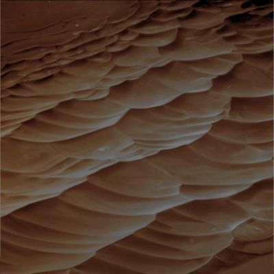 The Sands of Santa Maria - Sol 2539 (Absolute Natural Colors; credits: Dr Paolo C. Fienga - Lunexit Team)
nessun commento
Parole chiave: Martian Surface - Craters - Santa Maria Crater