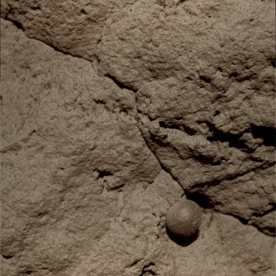 Martian "Mushroom" - Sol 259 (Natural Colors; credits: Lunexit)
nessun commento
Parole chiave: Martian Surface - Martian Berry