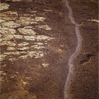 Martian Paving and the Crest of a "Pinkish" Ripple - Sol 2658 (Absolute Natural Colors; credits for the additional process. and color.: Dr Gianluigi Barca - Lunexit Team)
nessun commento
Parole chiave: Martian Surface - Martian Paving and Ripple