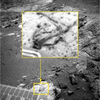 Possible Indigenous Lifeform - Sol 3153 (CTX Frame and EDM; credits for the Research: Ivana Tognoloni/Lunar Explorer Italia/Italian Planetary Foundation)
Dopo un'infinità di Soles trascorsi da Opportunity a vagare nei paraggi del Margine Interno del Grande Cratere Endeavour, e dopo un lungo Silenzio, ecco che la nostra Grande Amica e Senior Partner, Ivana Tognoloni, ci riporta nella Regione di Meridiani Planum per sottoporci un dettaglio - come minimo - inquietante: proprio a ridosso di Opportunity, già visibile (sapendo dove guardare) nel CTX Frame e davvero MOLTO chiaro nell'EDM, posta al di sopra di un macigno dalla superficie relativamente piatta, sembra trovarsi - ben mimetizzato con l'Ambiente - una curiosa "Creatura", con due fori - contornati da una sorta di "raggiatura" - situati nella sua porzione (diciamo così...) "frontale" ed un "corpo" in qualche modo simile a quello di una "Manta", con l'estremità di Sx (quella più vicina al bordo inferiore dell'EDM, tanto per capirci) che appare leggermente sollevata dal macigno, quasi che la "Creatura" fosse stata colta in movimento. 
Si tratta di un'llusione ottica? Di una roccia incredibilmente bizzarra nella sua forma? O forse siamo davanti (anzi: sopra!) ad una reale Creatura Indigena? Ovviamente una risposta definitiva non è possibile darla, ma è la stessa Ivana Tognoloni che ci dà un indizio su cui riflettere: dopo aver esaminato TUTTI gli altri frames che riprendono la stessa zona (più di un centinaio), della Creatura non vi è più traccia. Ergo...

Ed ora cediamo la parola alla stessa Ivana:"...Io l'ho guardato a lungo questo frame e ora, per descriverlo,  parto dal presupposto che si tratti davvero di un essere vivente. Inizialmente mi sembrava una creatura, una specie di iguana, stesa sulla pavimentazione rocciosa,  le cui  parti chiaramente identificabili erano la testa e una zampa. Poi, osservando meglio, ed ingrandendo bene, ho notato che sia la testa sia la zampa emergono da sotto il paving in modo che parrebbe indipendente. La testa sale su dritta dalla superficie e, guardando bene, si vede anche un pezzetto di collo. La zampetta emerge da sotto una pietra piatta e piccola (o da una sorta di ala?) e, a guardarla attentamente, a me pare, in tutto e per tutto, una vera zampa, quella di un rettile, o qualcosa di simile.
La mia opinione è che, se si trattasse davvero di un essere vivente, allora potrebbe essere una creatura che vive principalmente sotto terra. La testa è rivolta verso il Rover, l'oggetto dell'attenzione, ed è pronta a ritrarsi in caso di pericolo. La "zampa" appartiene - presumibilmente - alla Creatura, anche se, vista in  questa prospettiva, essa appare in una posizione totalmente innaturale, ma innaturale SOLO per il mio modo (terrestre) di vedere! Ma su Marte...Chissà... 
Potrebbe anche essere una Creatura con delle estremità molto lunghe e flessuose. E comunque, se io fossi una Creatura Marziana che vive soprattutto nel sottosuolo, non avrei timore nell'avvicinarmi tanto ad un intruso così grande e alieno (il rover) se avessi modo di ritrarmi rapidamente e poi fuggire, in tutta fretta, nel mio habitat naturale...".

Che altro aggiungere? Aspettiamo i Vostri commenti...
Parole chiave: Martian Surface - Controversial