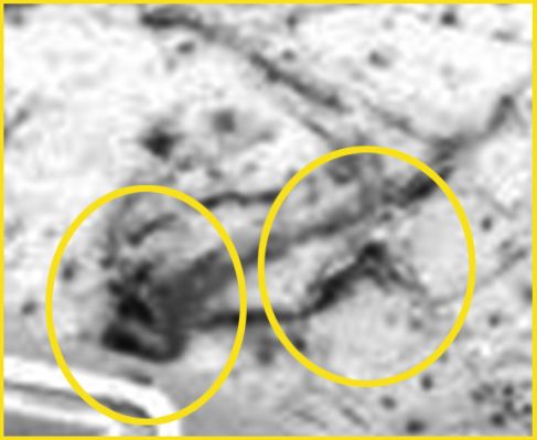 Possible Indigenous Lifeform - Sol 3153 (EDM; credits for the Research: Ivana Tognoloni/Lunar Explorer Italia/Italian Planetary Foundation)
Nelle Cerchiature Gialle: le due "Bocche" con "Raggiature" (Sx) e l'evidenza che una porzione dell'oggetto/Creatura è effettivamente SOLLEVATA rispetto al macigno sul quale poggia (Dx).
Parole chiave: Martian Surface - Controversial