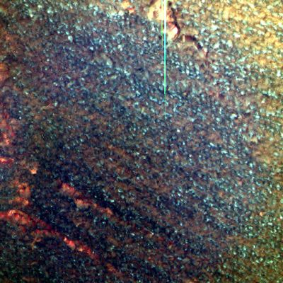 Water Droplets INSIDE the Heat-Shield? - Sol 344 (extra-detail mgnf; credits: Dr M. Faccin)
nessun commento
Parole chiave: Spacecrafts - Opportunity Heat-Shield
