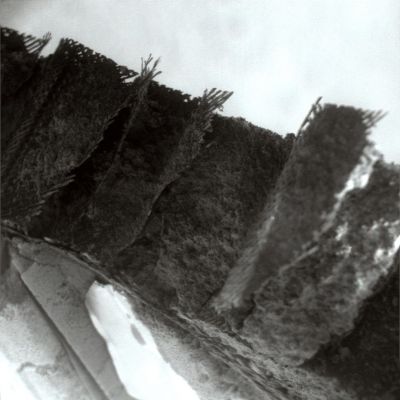 Just like Art... - Sol 356 (Superdefinition; credits: Dr G. Barca)
Una piccola "Provocazione": si tratta solo di "Spazzatura Spaziale" oppure vedete anche Voi una sorta di "Espressione Artistica" in questa extra-magnificazione di un rottame?


Parole chiave: Microscopic Imager - Opportunity's Heat-Shield