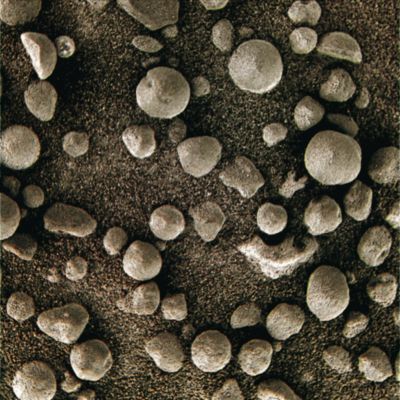 Family Reunion! - Sol 369 (Superdefinition + MULTISPECTRUM; credits: Dr G. Barca & Lunexit)
nessun commento
Parole chiave: Microscopic Imager - Berries