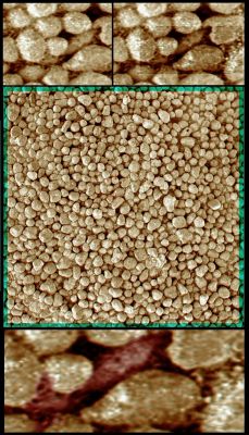 What's under the gravel??? - Sol 369 (credits: Dr M. Faccin)
Una sorta di "lumaca", di colore e texture affini a quelle dei "berries" che la circondano (il concetto di "camouflage", a quanto sembra, non è solo terrestre...) sembra strisciare fra un mirtillo e l'altro. 

Illusione ottica? 
Svista? 

Guardate bene e provate a notare come la curiosa "creatura" - individuata dal nostro bravissimo Marco Faccin - sembra essersi già creata un varco sulla Dx dell'Osservatore. Ed il varco è una sorta di "foro", una crepa, che si apre su uno dei mirtilli che la Creatura, probabilmente, si accinge ad attraversare (o che usa come riparo, o - chissà - dal quale proviene).
Difficile fare degli ulteriori commenti.

Molto difficile...
Parole chiave: Microscopic Imager - Berries