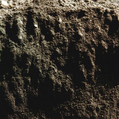 Greenish Soil? - Sol 371 (Superdefinition + MULTISPECTRUM; credits: Dr G. Barca & Lunexit)
nessun commento
Parole chiave: Microscopic Imager - Greenish Soil