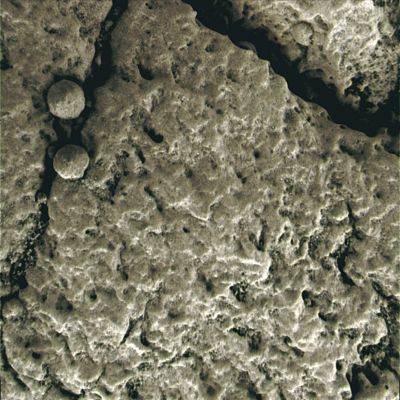 Round "Brothers"... - Sol 400 (Superdefinition + MULTISPECTRUM; credits: Dr G. Barca & Lunexit)
nessun commento
Parole chiave: Microscopic Imager - Berries