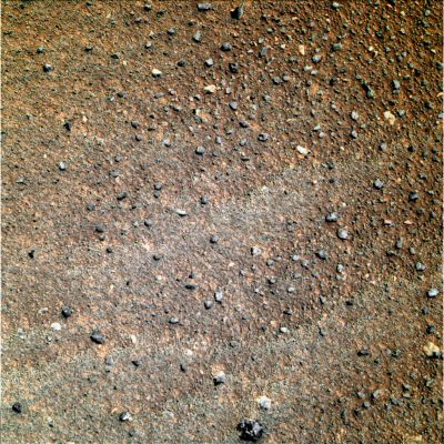 Greenish Martian "undisturbed" Soil - Sol 414 (true-colors; credits: Dr G. Barca)
Ci sono davvero licheni e tenui muschi fra le sabbie di Meridiani, come pare suggerire questa bellissima elaborazione in colori veri del Dr Barca?... Voi che dite?
Parole chiave: Martian Surface - Berries and pebbles - Controversial