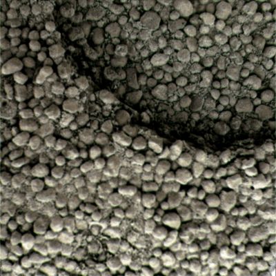 STRONG Brotherood... - Sol 419 (Superdefinition + MULTISPECTRUM; credits: Dr G. Barca & Lunexit)
nessun commento
Parole chiave: Microscopic Imager - Berries