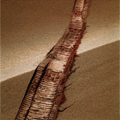 Cutting the edge... - Sol 447 (True Colors; credits: Dr Gianluigi Barca)
nessun commento
Parole chiave: Martian Surface - Rover Tracks and Side-Winders