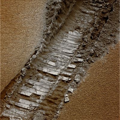Rover Tracks - Sol 500 (possible True Colors; credits: Dr G. Barca)
nessun commento
Parole chiave: Martian Surface - Rover Tracks