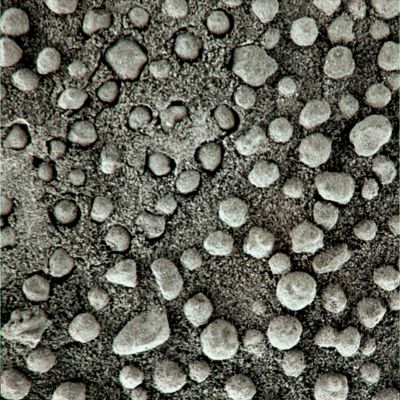 Brotherood - Sol 505 (Superdefinition + MULTISPECTRUM; credits: Dr G. Barca & Lunexit)
nessun commento
Parole chiave: Microscopic Imager - Berries