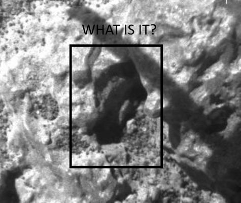 Look who's back!!!... (Part II) - Sol 5079
Classico esempio di "Illusione Ottica". Difficile analizzare le immagini senza anaglifi, ahimé... Qui ho commesso un grave errore di visione e valutazione, per il quale mi scuso con i Lettori.
Parole chiave: Mars - Surface - Controversial