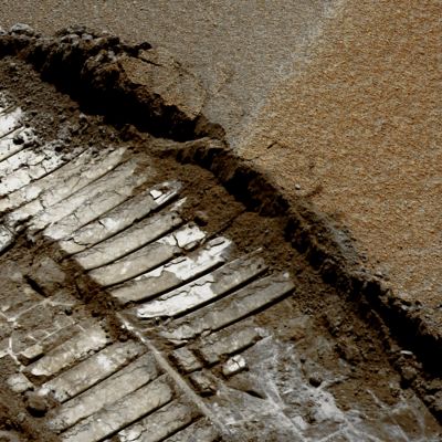 Rover Tracks - Sol 511 (possible True Colors; credits: Dr G. Barca)
nessun commento
Parole chiave: Martian Surface - Rover Tracks