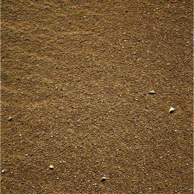 Berryland! - Sol 528 (possible True Colors; credits: Dr G. Barca & Lunexit)
nessun commento
Parole chiave: Martian Surface - Berries