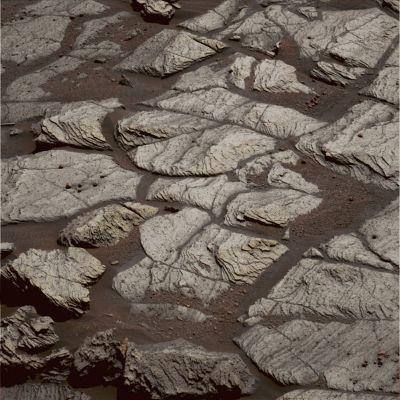 Martian Paving - Sol 591 (possible True Colors; credits: Dr G. Barca & Lunar Explorer Italia)
nessun commento
Parole chiave: Martian Surface - Martian Paving