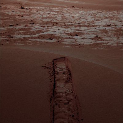 "Section" of a Side-Winder - Sol 607
nessun commento
Parole chiave: Martian Surface - Dunes and Paving