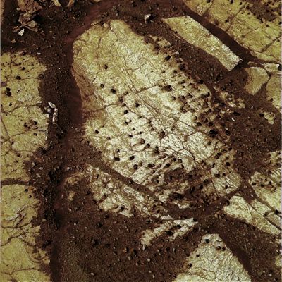 Paving and Berries - Sol 616 (ALL Filters; credits: Dr M. Faccin & Lunexit)
nessun commento
Parole chiave: Martian Surface - Martian Paving and Berries