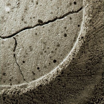After the "Abrasion" - Sol 633 (Superdefinition + natural colors; credits: Dr G. Barca)
nessun commento
Parole chiave: Microscopic Imager - RAT Work